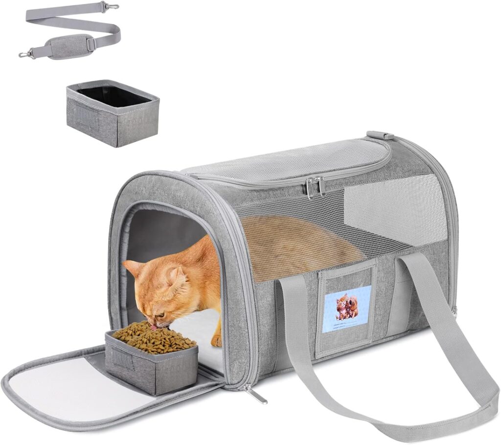 Cat carrier soft for pets review