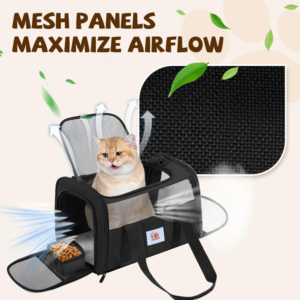 Cat carrier soft for pets review