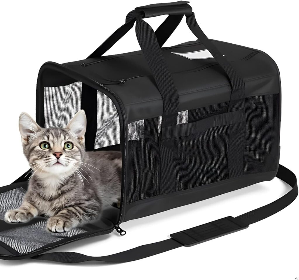 Cat dog pet carrier review
