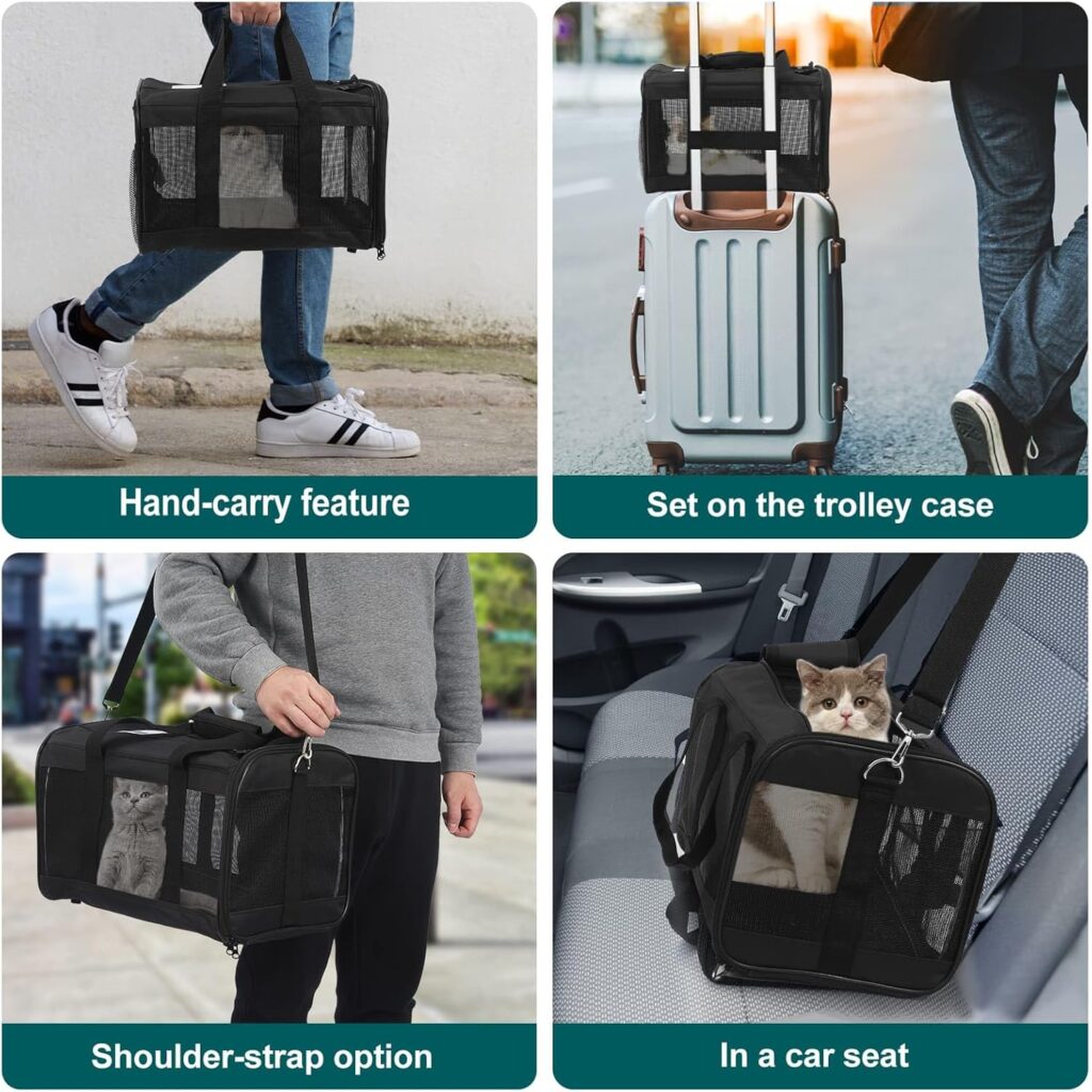 Cat dog pet carrier review