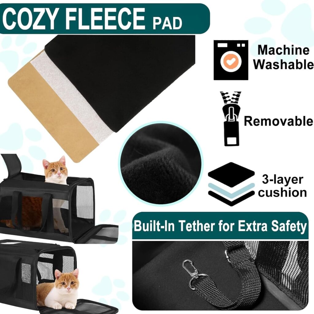 Cat dog pet carrier review