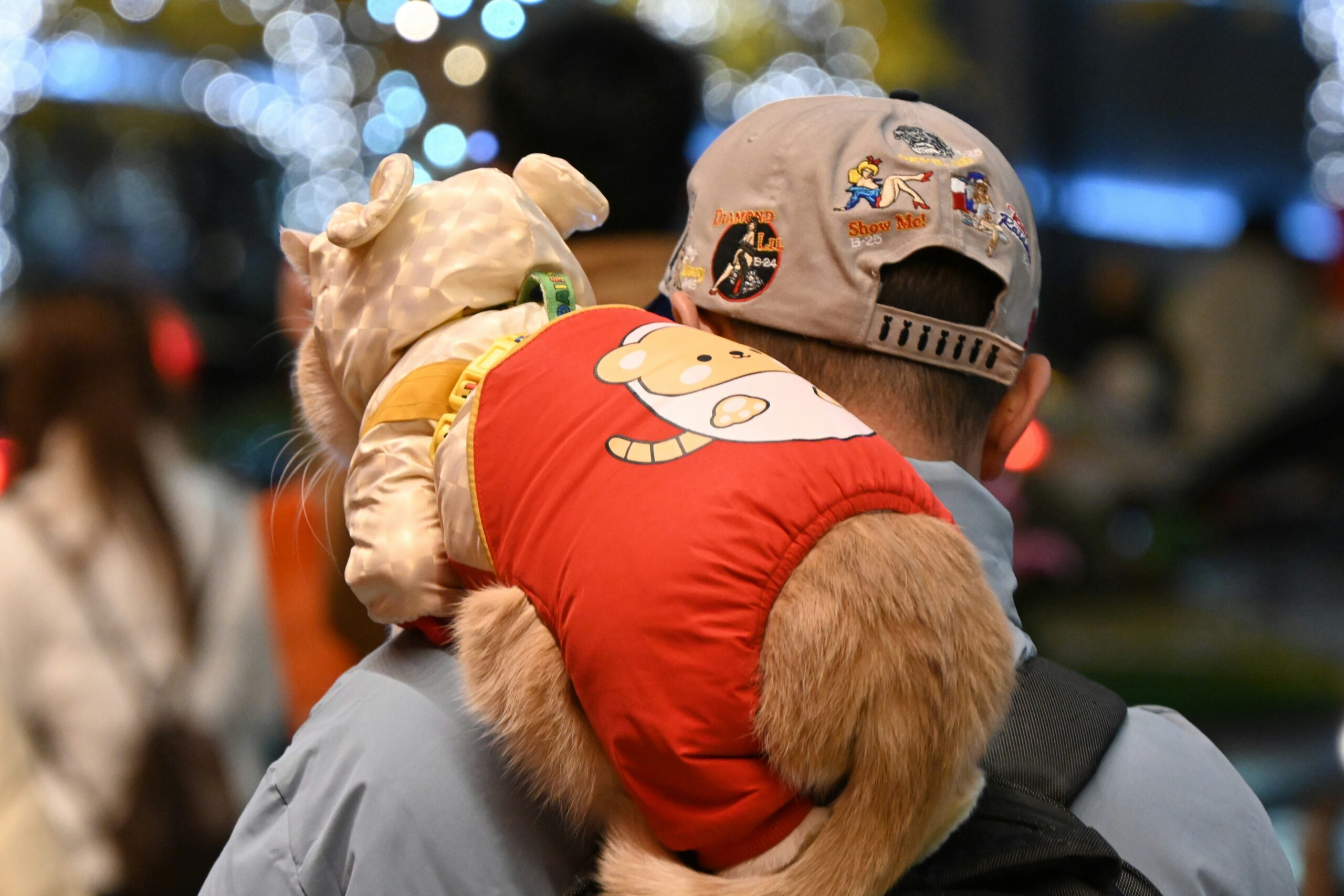 EliteField Deluxe Soft-Sided Pet Carrier review