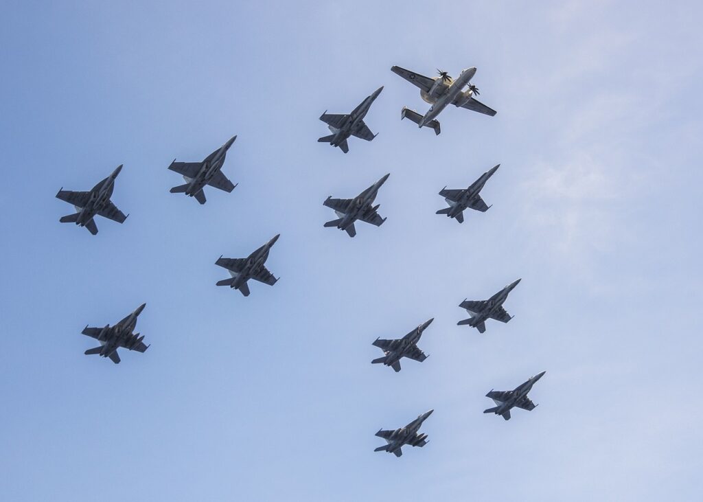 Large pet carrier with wheels review