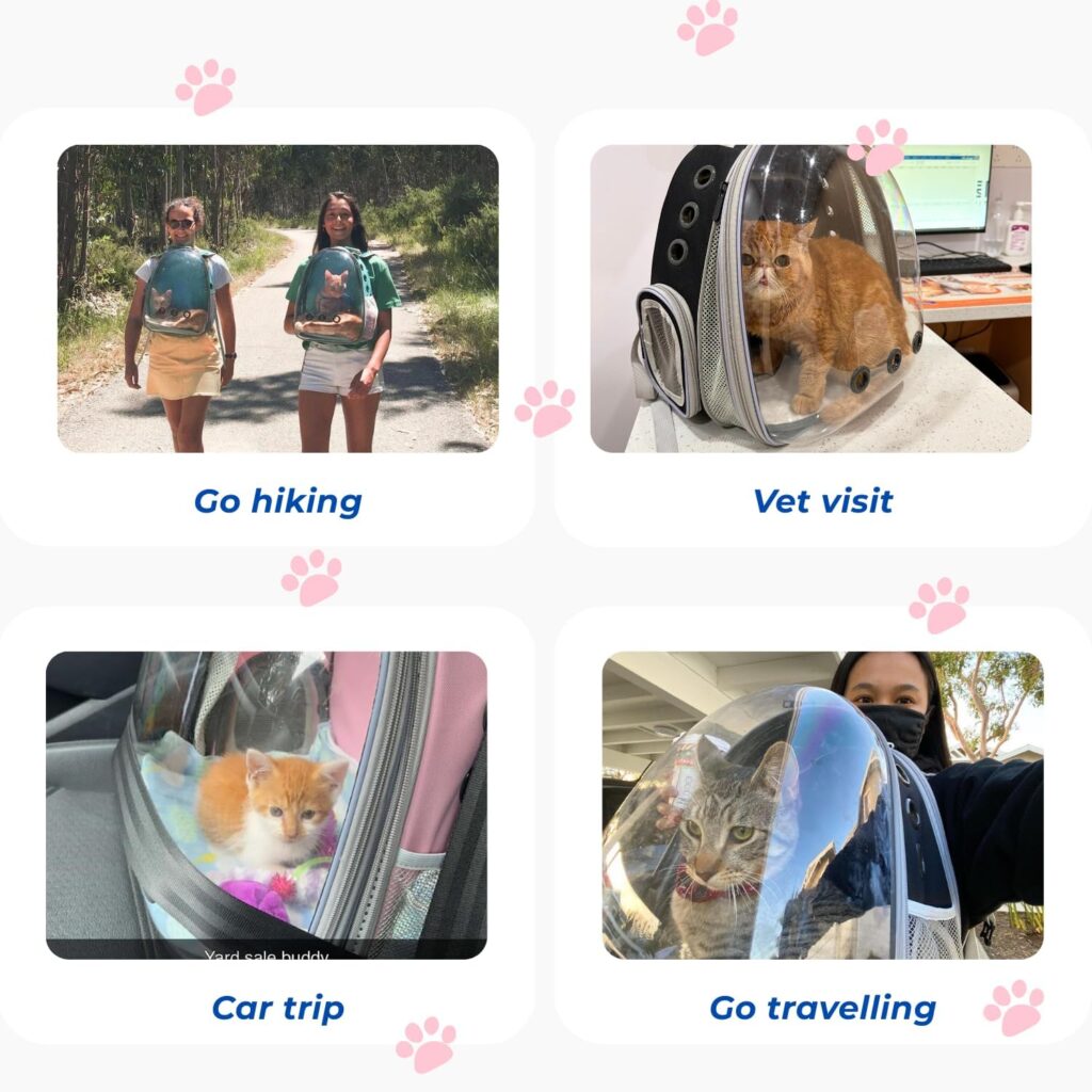 Lollimeow cat carrier backpack review