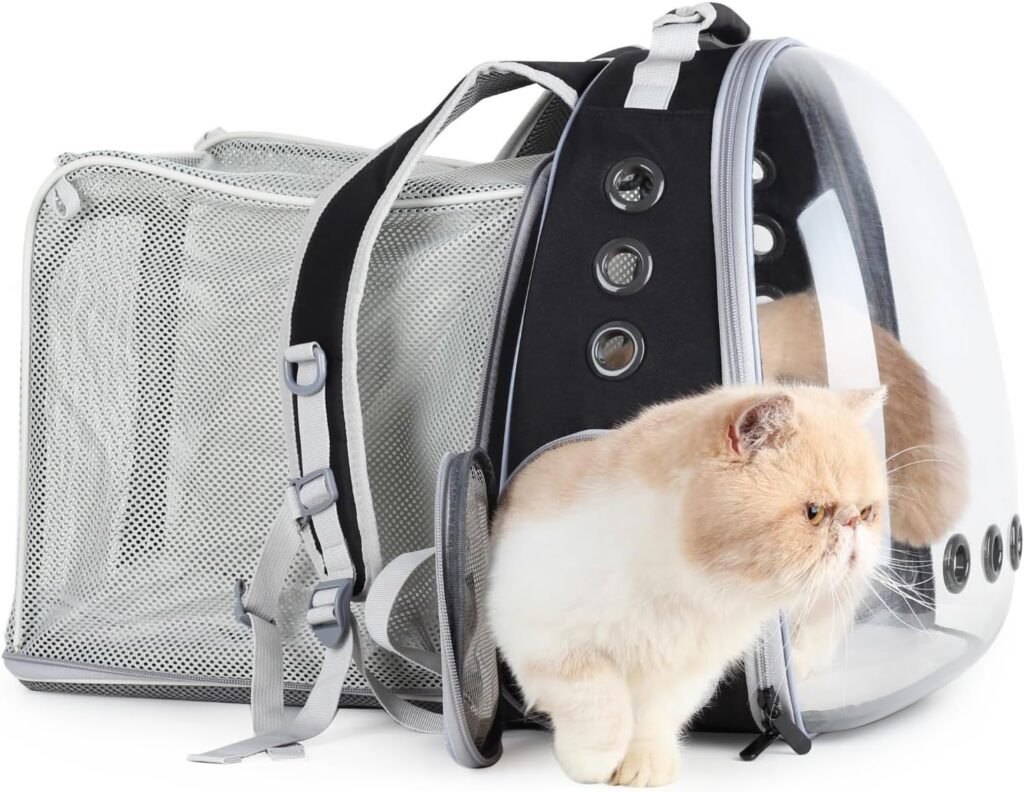 Lollimeow cat carrier backpack review