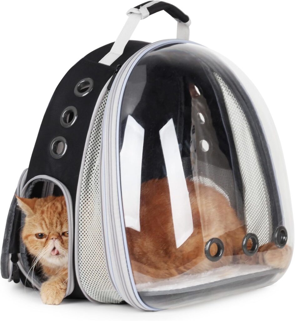 Lollimeow cat carrier backpack review