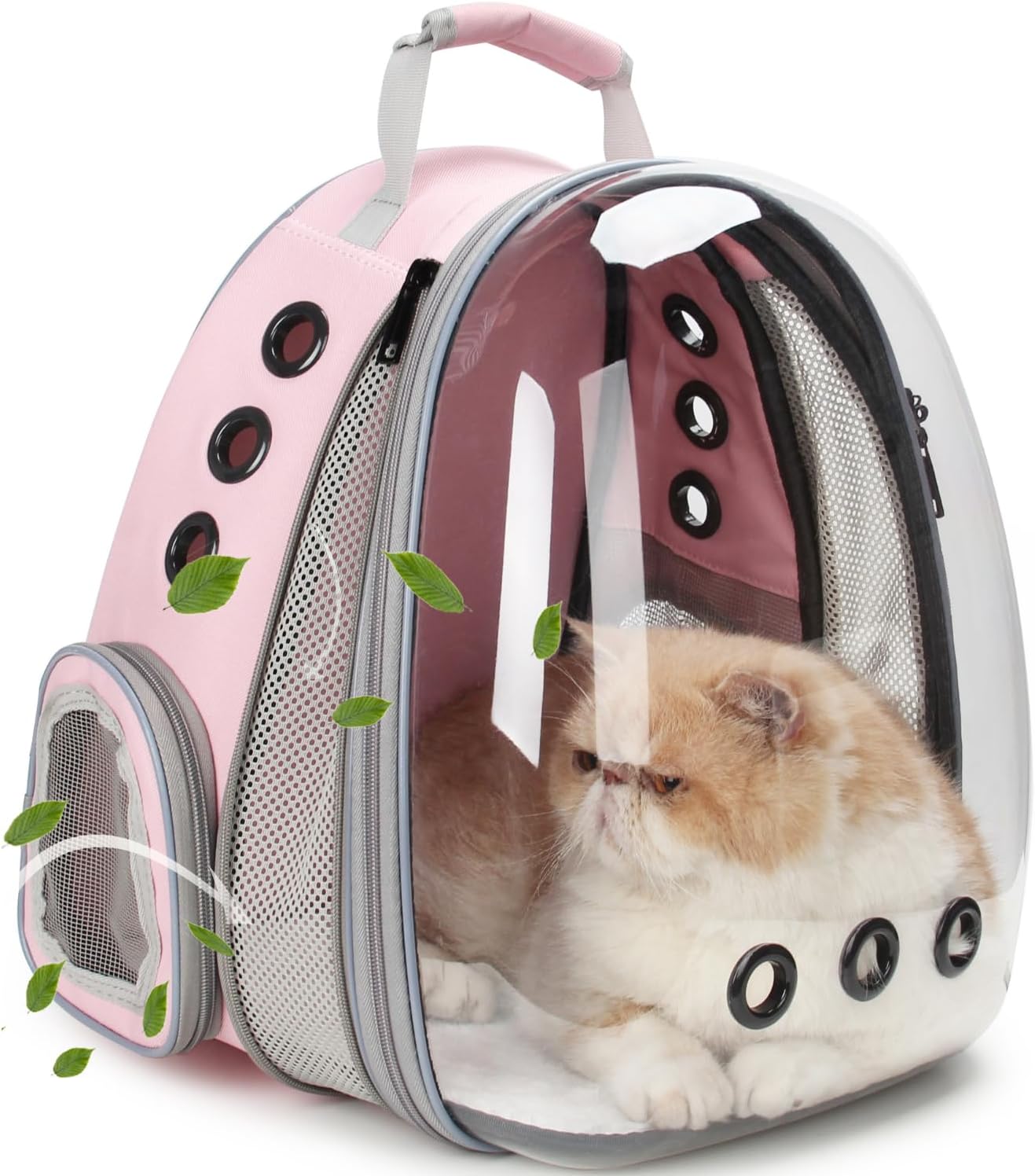 Lollimeow Cat Carrier Backpack review