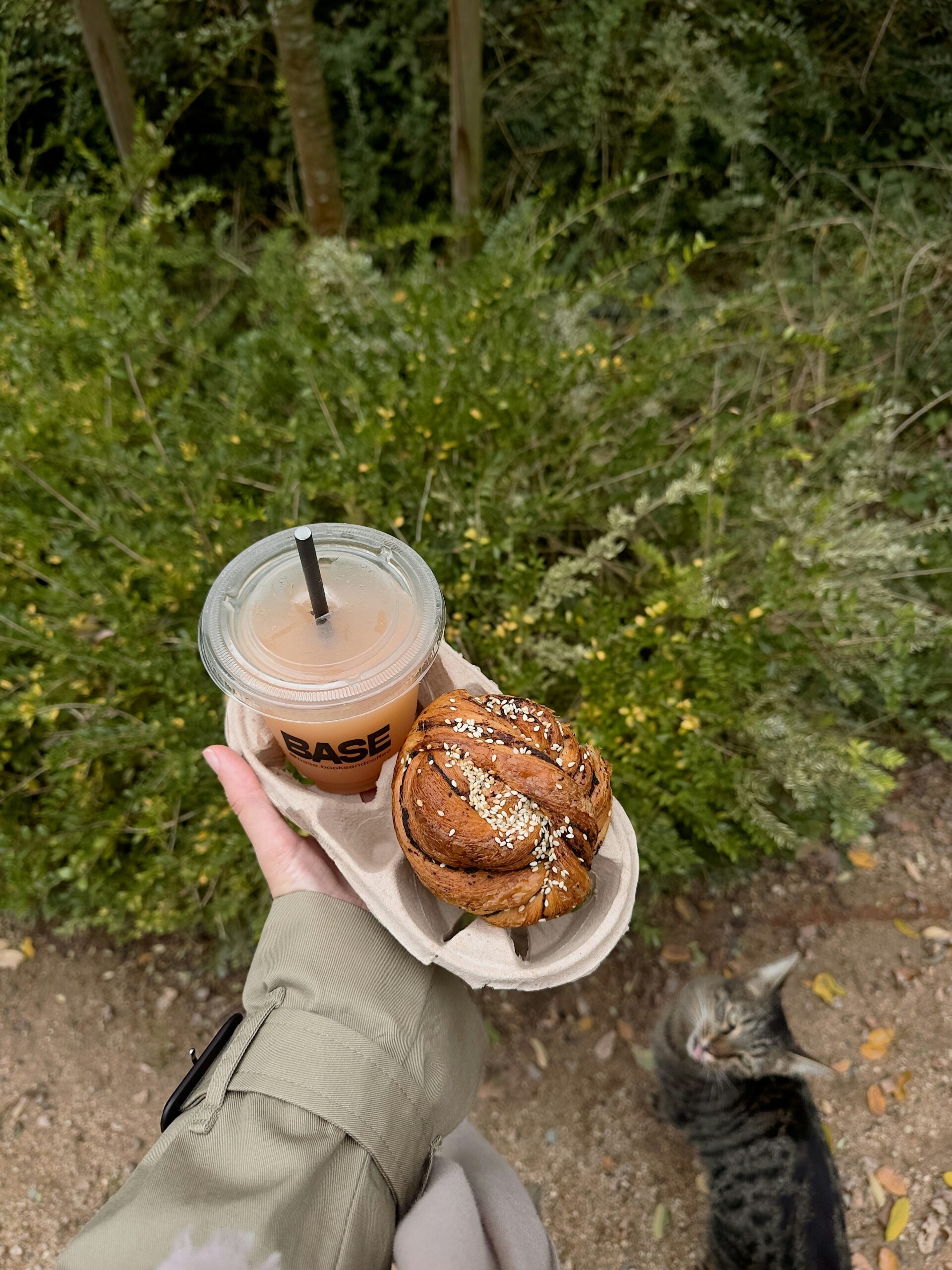 Pet Carrier Bag for Small to Medium Cats Review