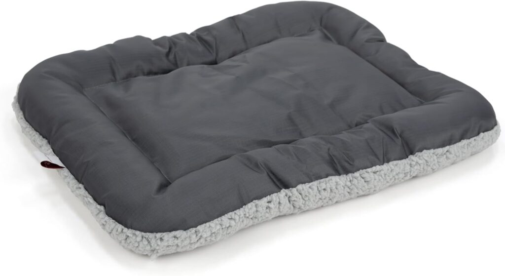 Sportpet designs foldable travel cat carrier review