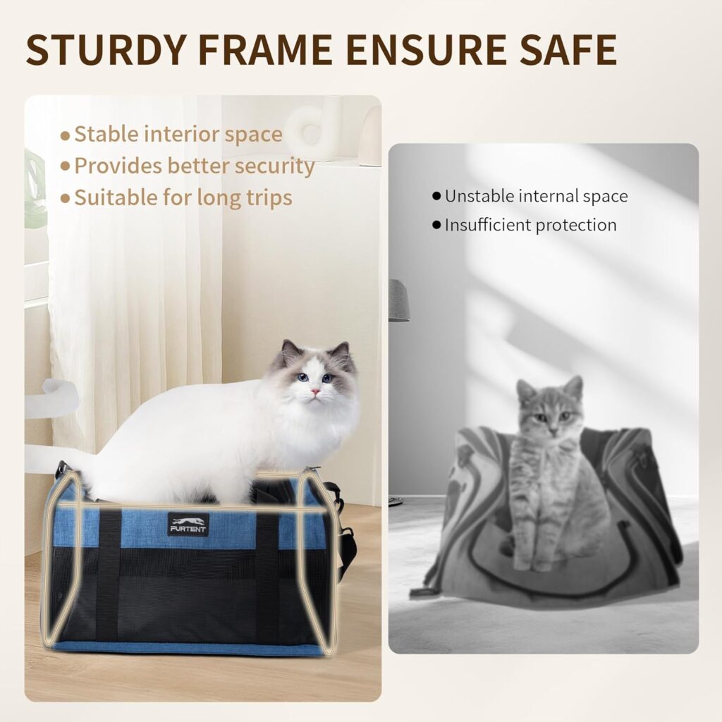 Tsa pet carrier dark blue review