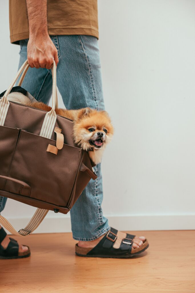 Athena Collection Hard-Sided Travel Pet Carrier for Small Dogs and Cats Athena Collection Hard-Sided Travel Pet Carrier for Small Dogs and Cats