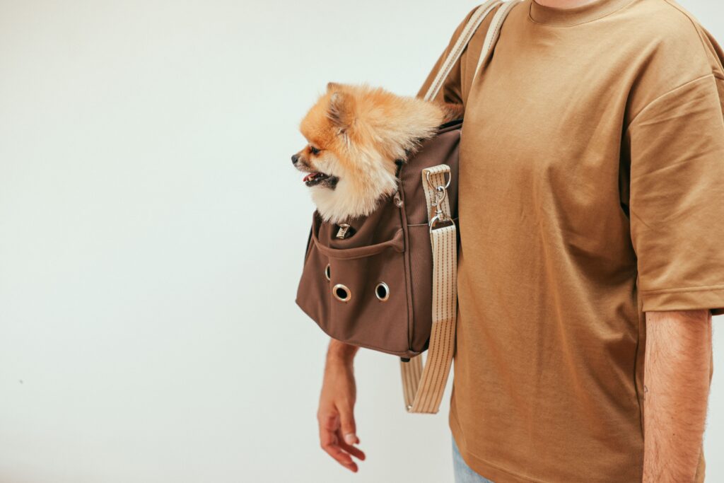 Athena Collection Hard-Sided Travel Pet Carrier for Small Dogs and Cats Athena Collection Hard-Sided Travel Pet Carrier for Small Dogs and Cats