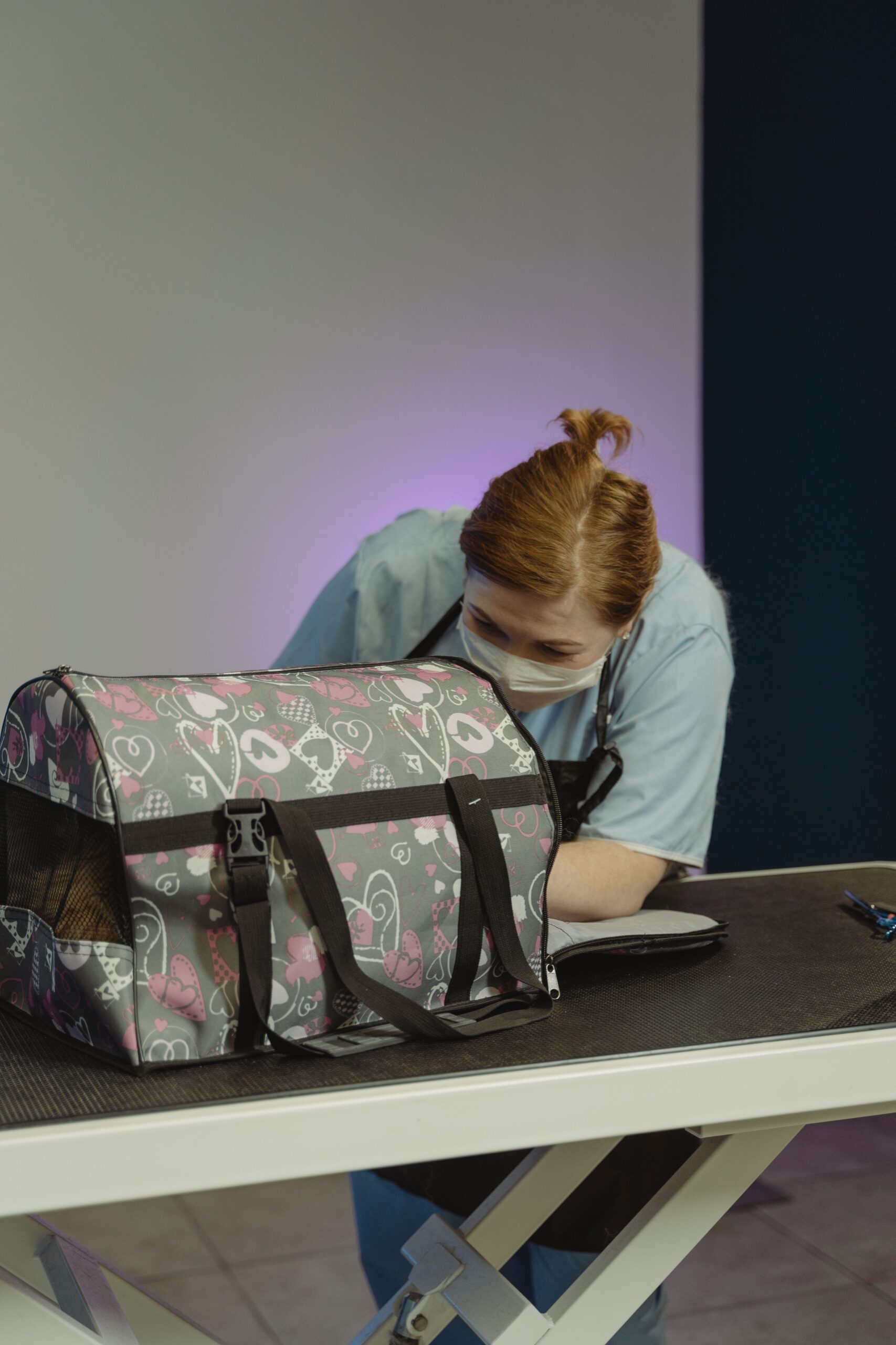 PAWZIDEA Expandable Pet Carrier Review