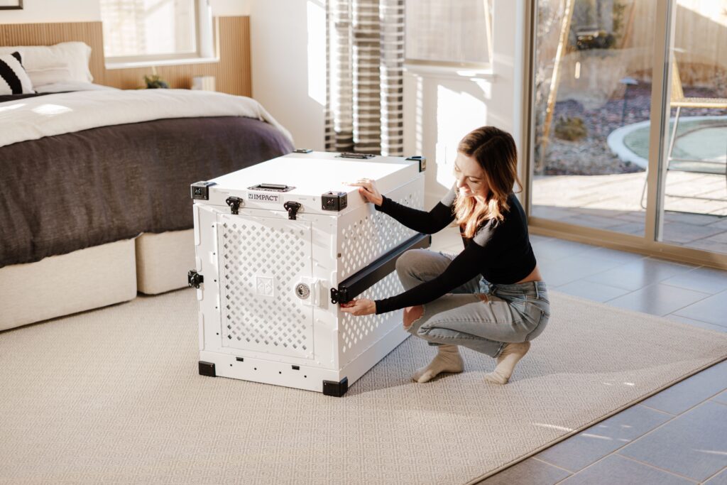Pecute Dual Compartment Pet Carrier for Multi-Cat Families & Small Dog Owners, Collapsible Dog Crate with Reinforced Steel Frame, Car Safety Design for Travel, Vet Visits & Home Use, Green