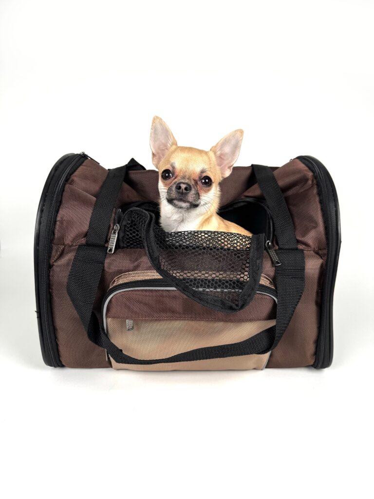 Petmate Vari Dog Kennel Portable Airline-Friendly Carriers Crates for Small Dogs and Puppies, Durable Plastic, Pet Carrier For Home and Travel, XS Extra Small For Dogs Up To Lbs, Taupe Petmate Vari Dog Kennel Portable Airline-Friendly Carriers Crates for Small Dogs and Puppies, Durable Plastic, Pet Carrier For Home and Travel, XS Extra Small For Dogs Up To Lbs, Taupe