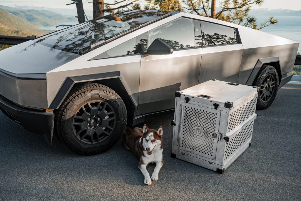 Prutapet Large Cat Carrier 24x16.5x16.5 Portable Dog Crate for Small Medium Dogs Collapsible Traveling Pet Crate with Collapsible Bowl Prutapet Large Cat Carrier 24x16.5x16.5 Portable Dog Crate for Small Medium Dogs Collapsible Traveling Pet Crate with Collapsible Bowl
