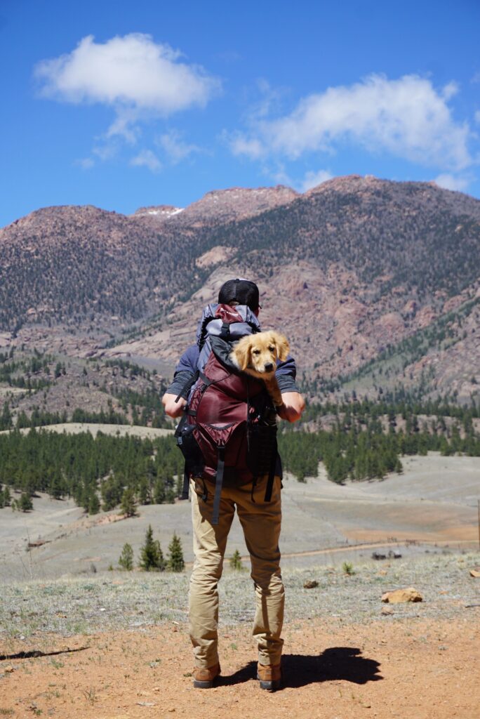 https://www.amazon.com/dp/B0F39N253S - Traveler's Choice Argo Pawsport to Adventure Pet Carrier, Tan review