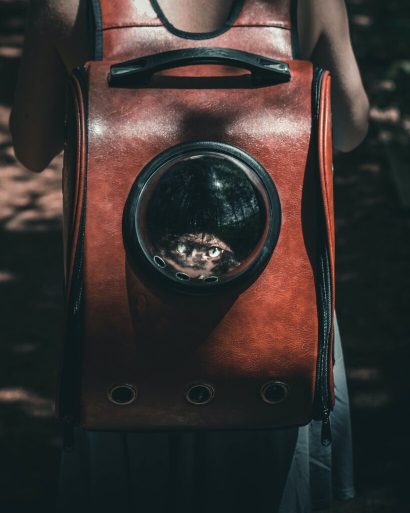https://www.amazon.com/dp/B0F99GXZ83 - Lawfery Cat Carrier for Cats, Large Soft-Sided Pet Travel Carrier review