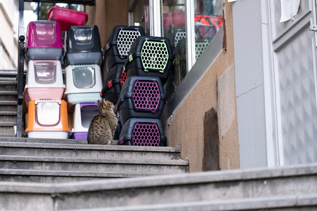https://www.amazon.com/dp/B0FHV5482K - GAPZER Cat Carrier 18x11x11 United Airline Approved, Soft Pet Flying Kennel review