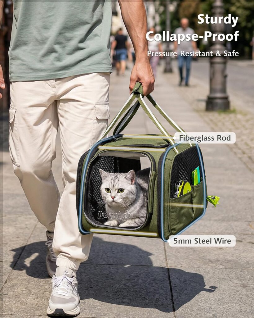 https://www.amazon.com/dp/B0GLXS6GZR - Pecute Cat Carrier,Double Bubble Pet Carrier for Cat Small Dogs,Green,M