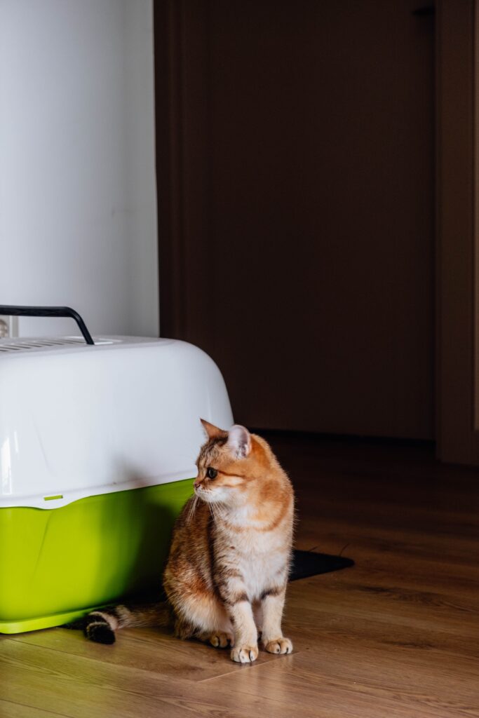 Lawfery Cat Carrier for Cats, Large Soft-Sided Pet Travel Carrier review