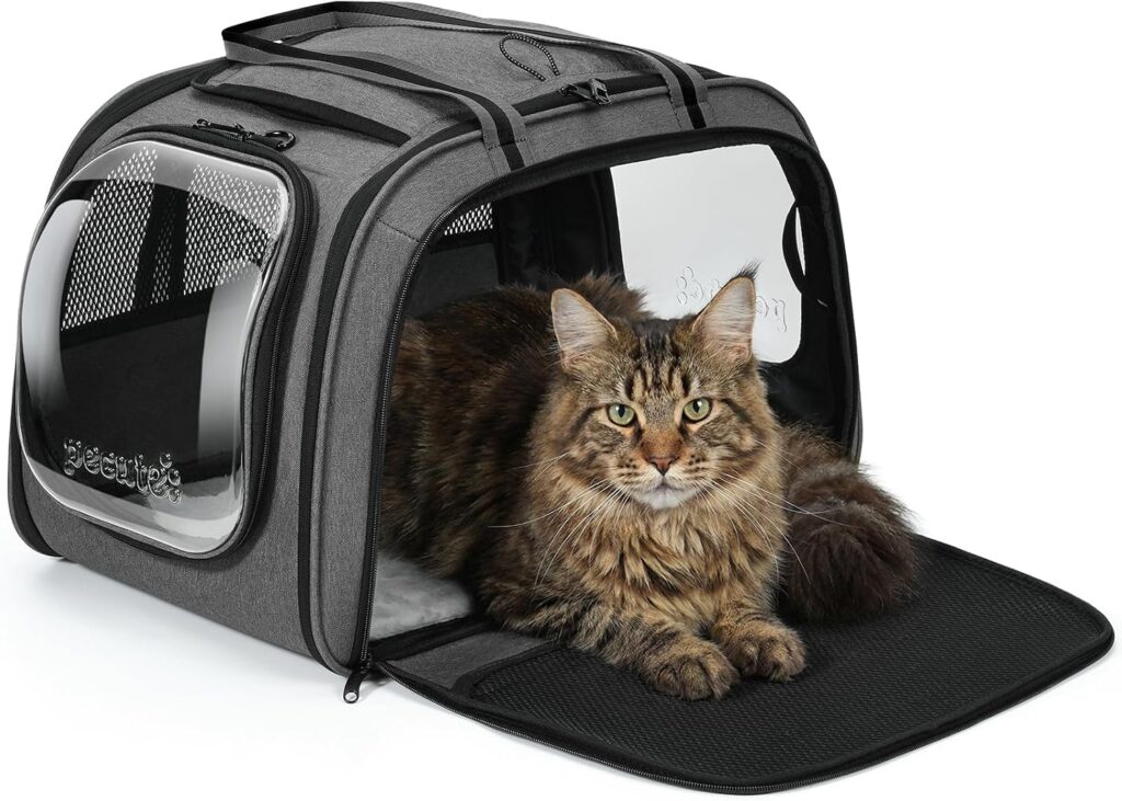 Pecute Cat Carrier,Double Bubble Pet Carrier for Cat Small Dogs,Green,M