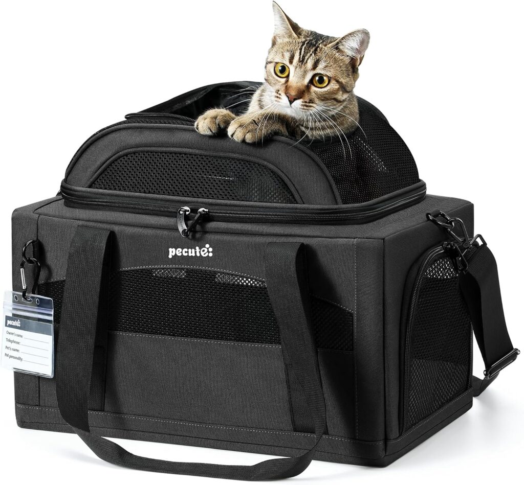 Pecute Top Expandable Airline Approved Pet Carrier for Cats, Olive Green