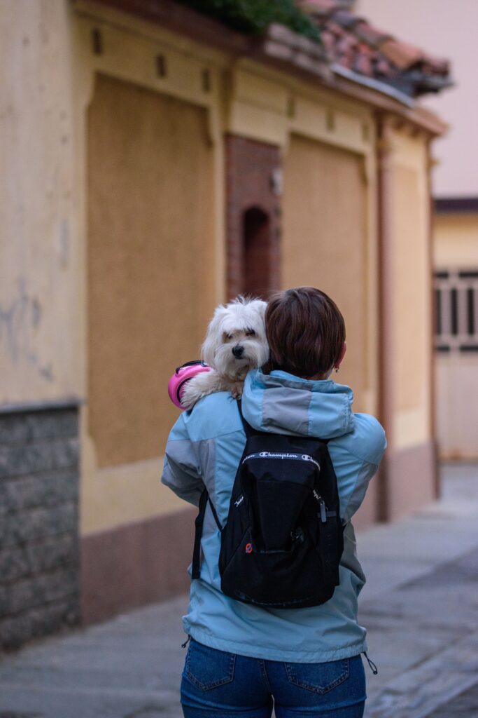 Traveler's Choice Argo Pawsport to Adventure Pet Carrier, Tan review
